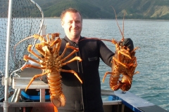 Crays