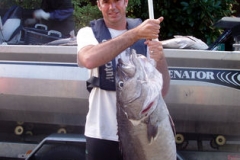 Groper 30-01-2012